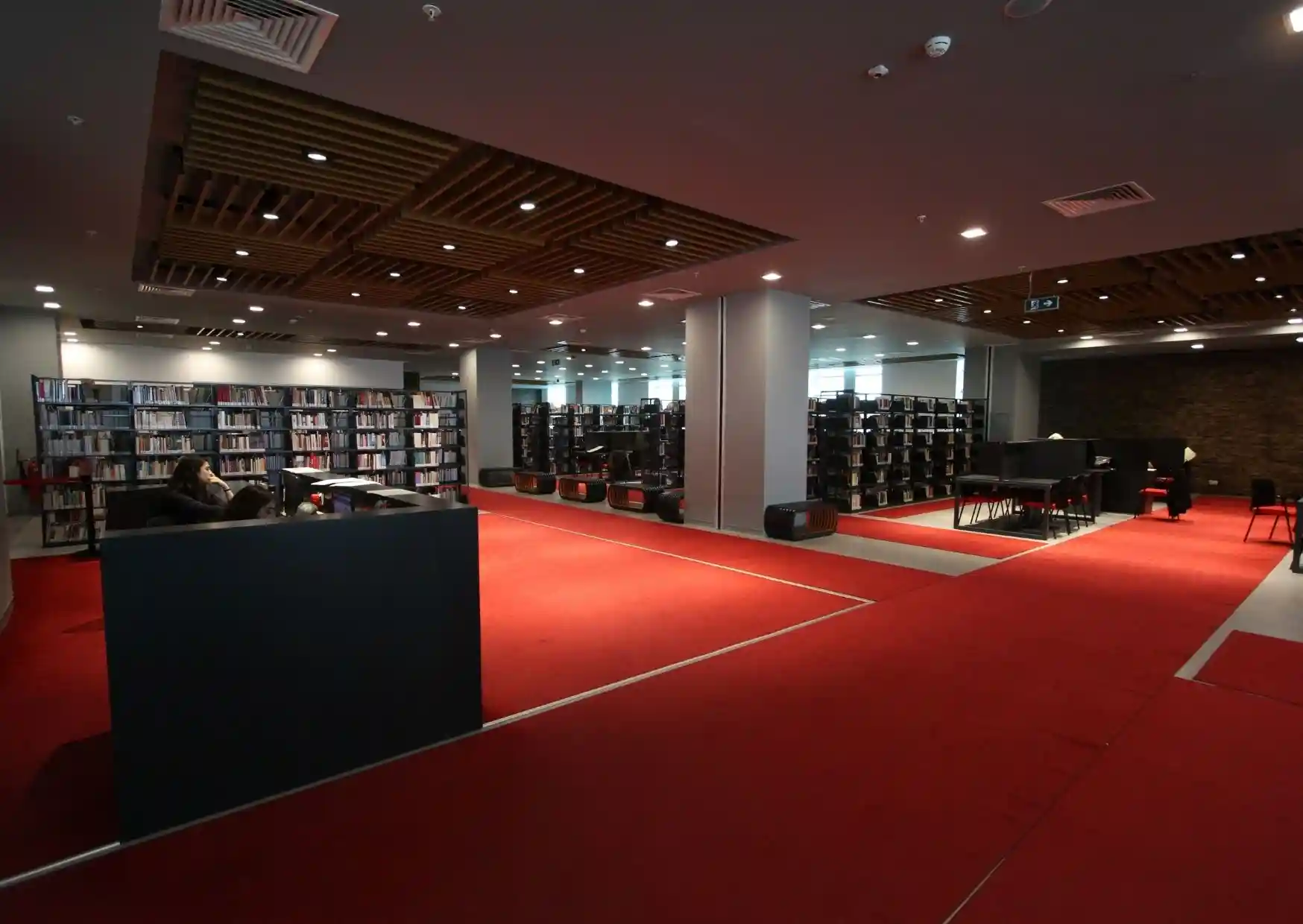 Altinbas University 2